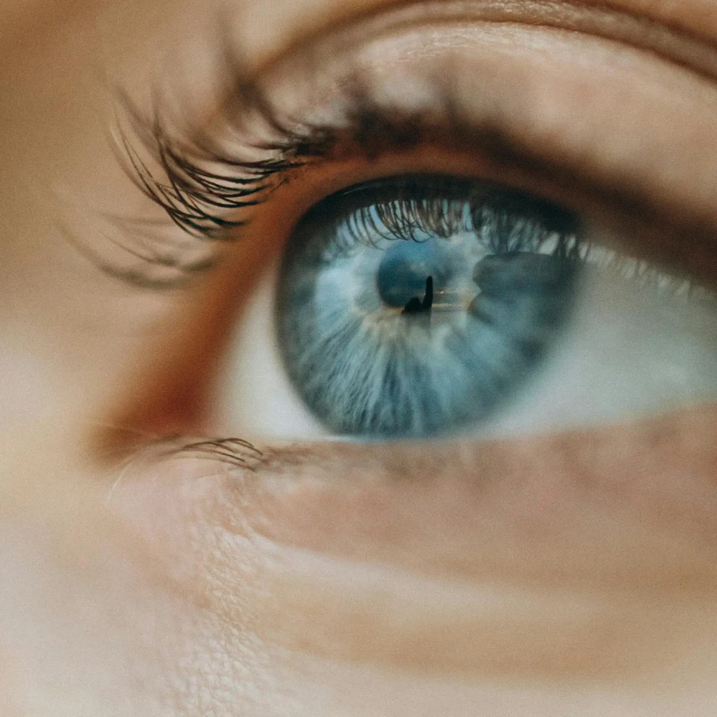 Program CD Longevity - Omega