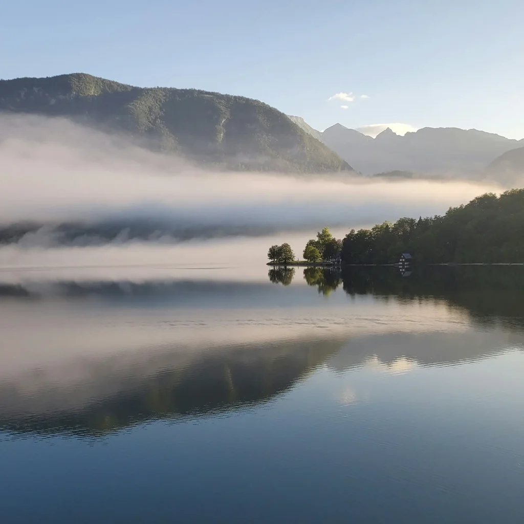 Program CD Longevity - Lux