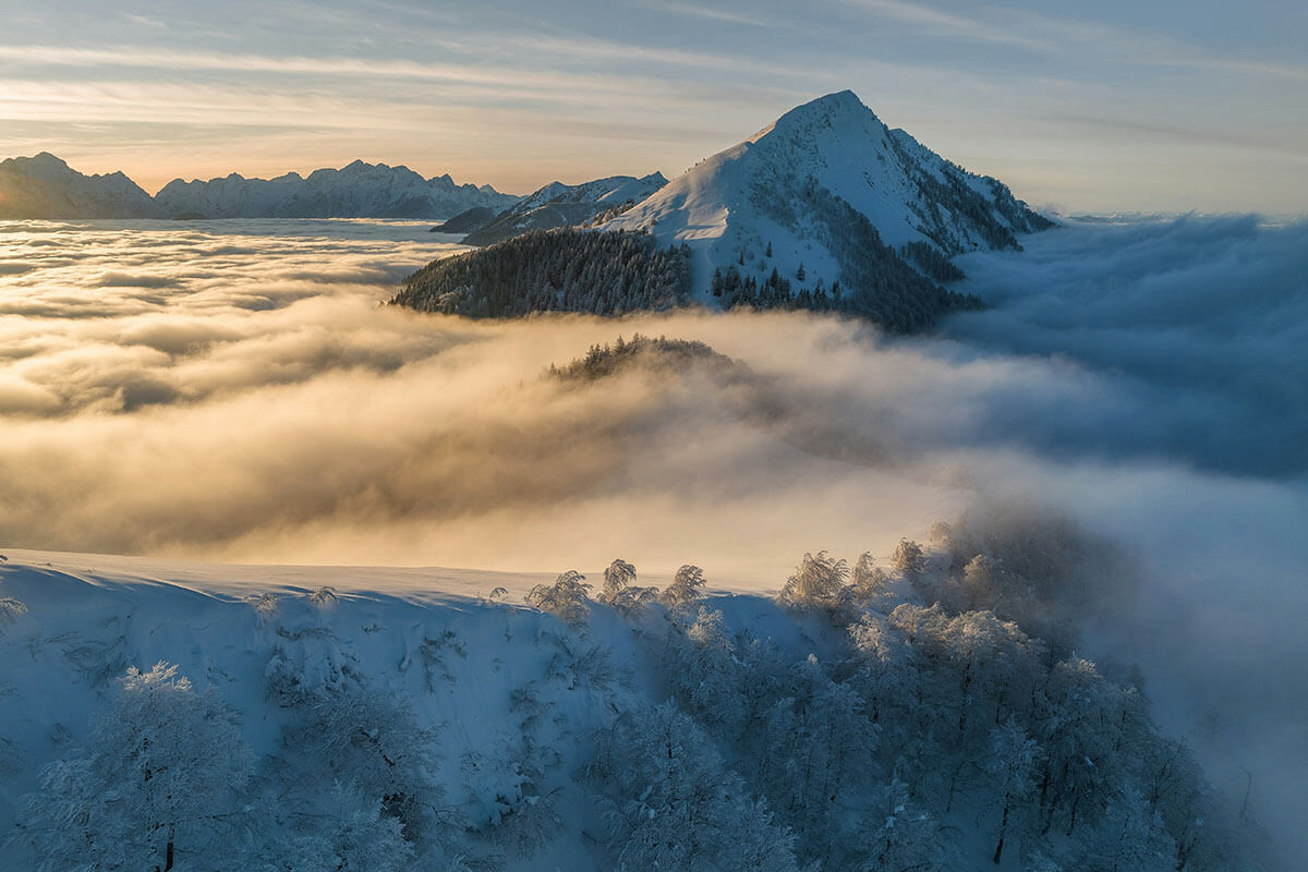 Dolgoživost kot nova paradigma zdravja v 21. stoletju