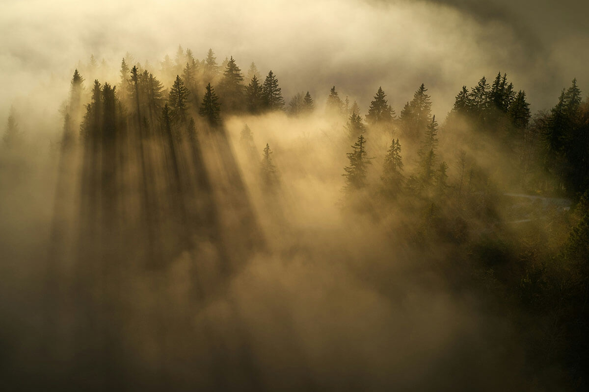 Personalizirana medicina