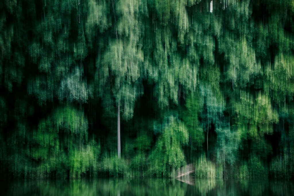 Glavni stebri dolgoživosti s pogledom v zgodovino